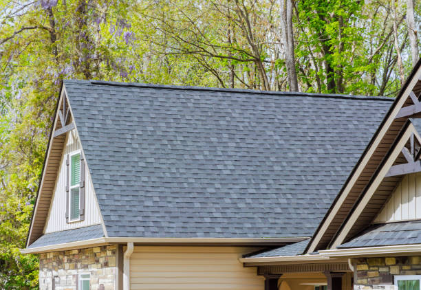 Best Roof Insulation Installation  in North Mankato, MN