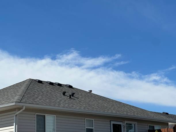 Best Roof Moss and Algae Removal  in North Mankato, MN